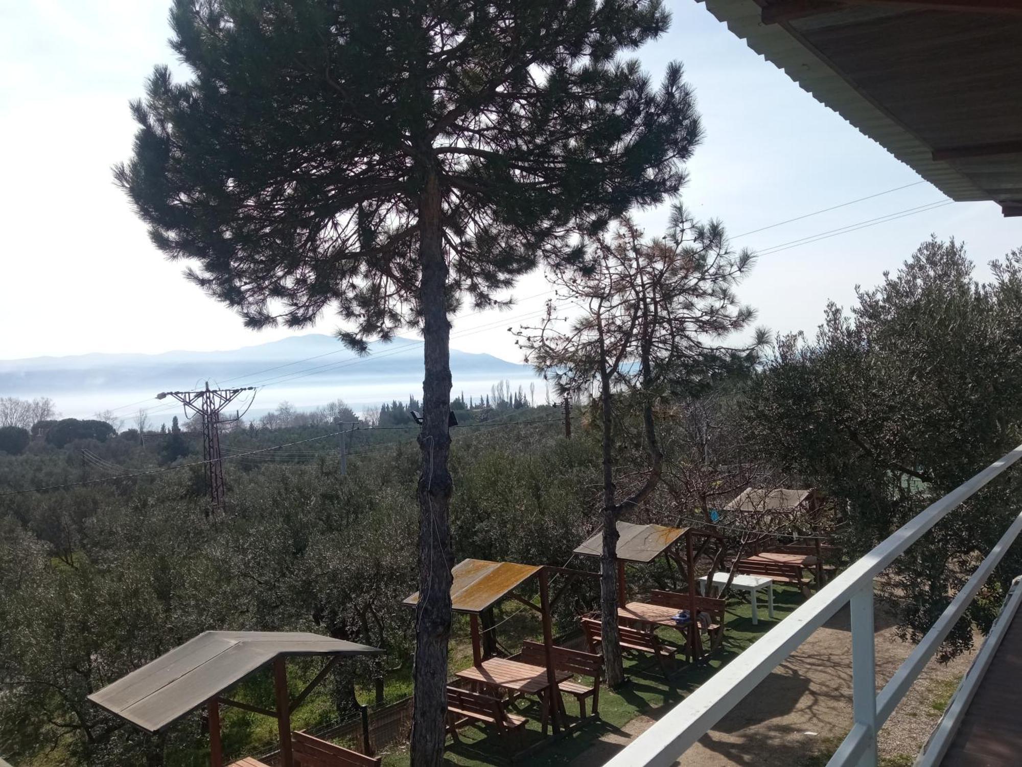 BoyalicaIlica Anatolia Keramet住宿加早餐旅馆 外观 照片